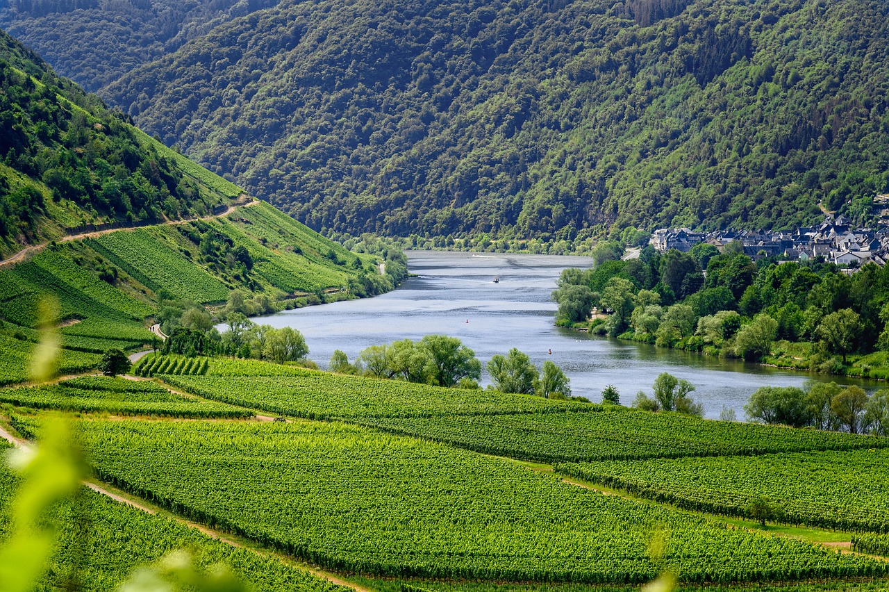 Die Mosel – ein Urlaubsziel für Alle